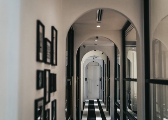 Colony_The Met 13