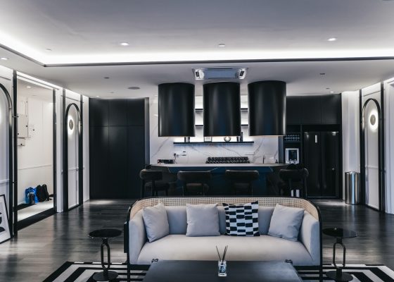 Colony_The Met 14